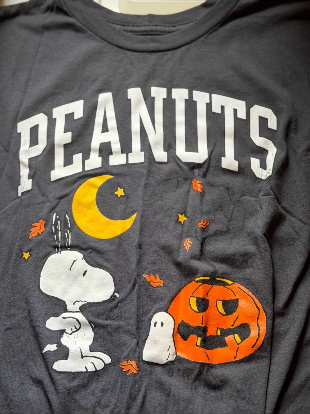 Peanuts Grey Halloween Graphic Tee with Snoopy and Pumpkin